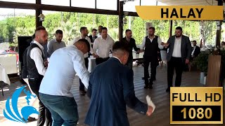 Erzurum - Kars - Ardahan Karışık Halay