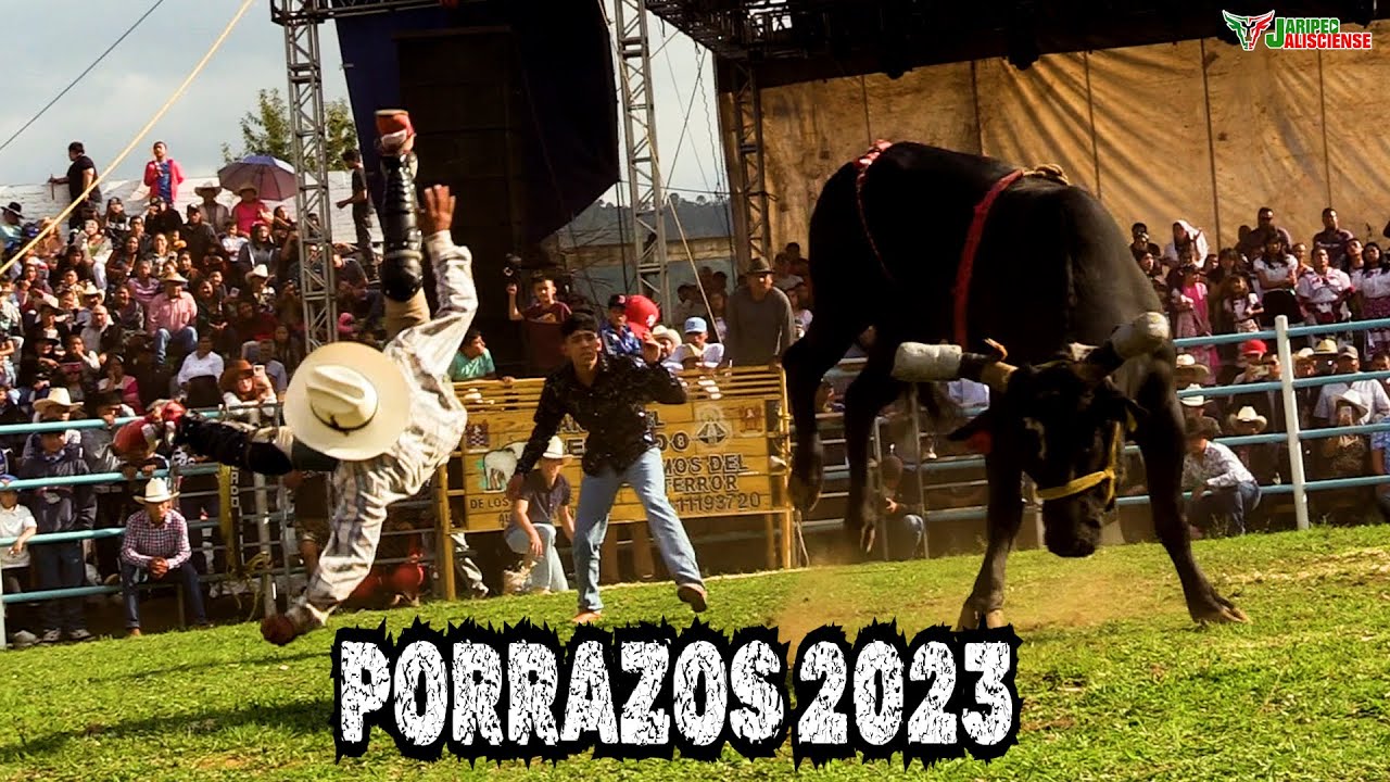RECOPILACION DE LOS MEJORES PORRAZOS DEL 2023 (PARTE 1)