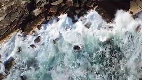 No copyright vedio 1 hour // want to increase su scriber then tell me in the comment 📍🪷🔱