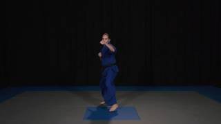 Dragonfly ASD - 135 - Jump Spin Crescent Kick Head Height Followed By Double Punch