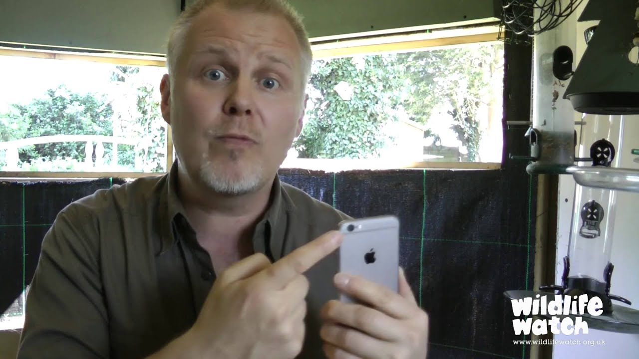 camera iphone 8 plus apk Wildlife Gadget Mans Top 3 Phone Gadgets For Photography And Video