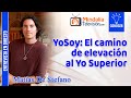 YoSoy: El camino de elevación al Yo Superior. Entrevista a Matías De Stefano