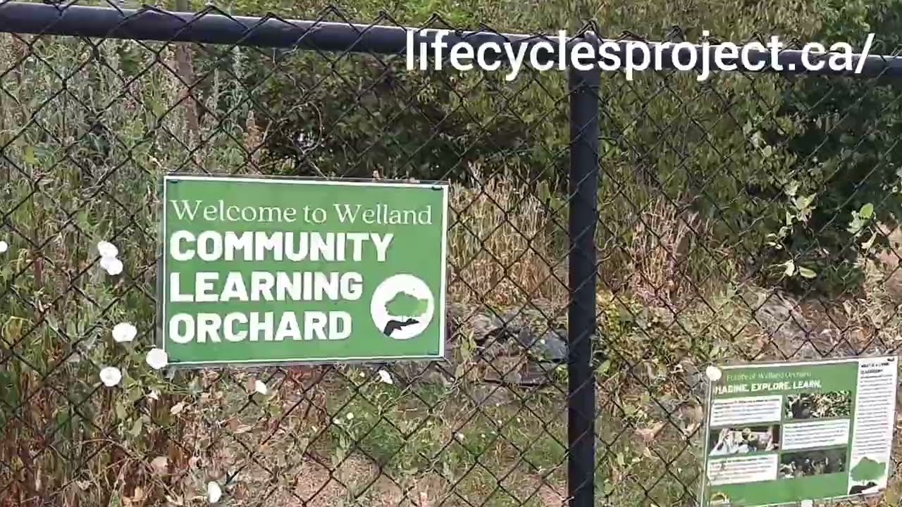 Sensational Public Orchard in Canada! 🏆