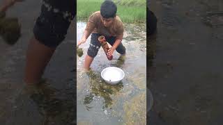 Bamboo fishing method in village bill 7 # fishinglover # trap # reels