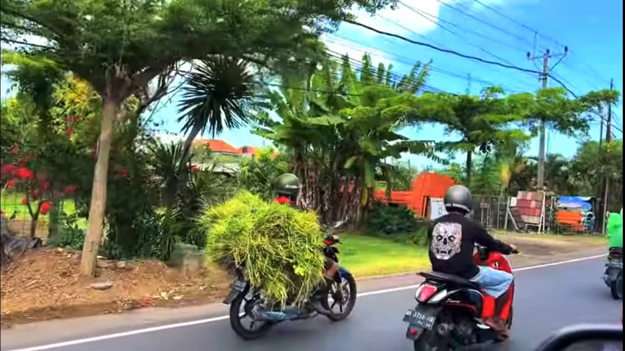 Driving in Indonesia 🇮🇩 What do they carry on motorcycles in Indonesia? Streets of Bali