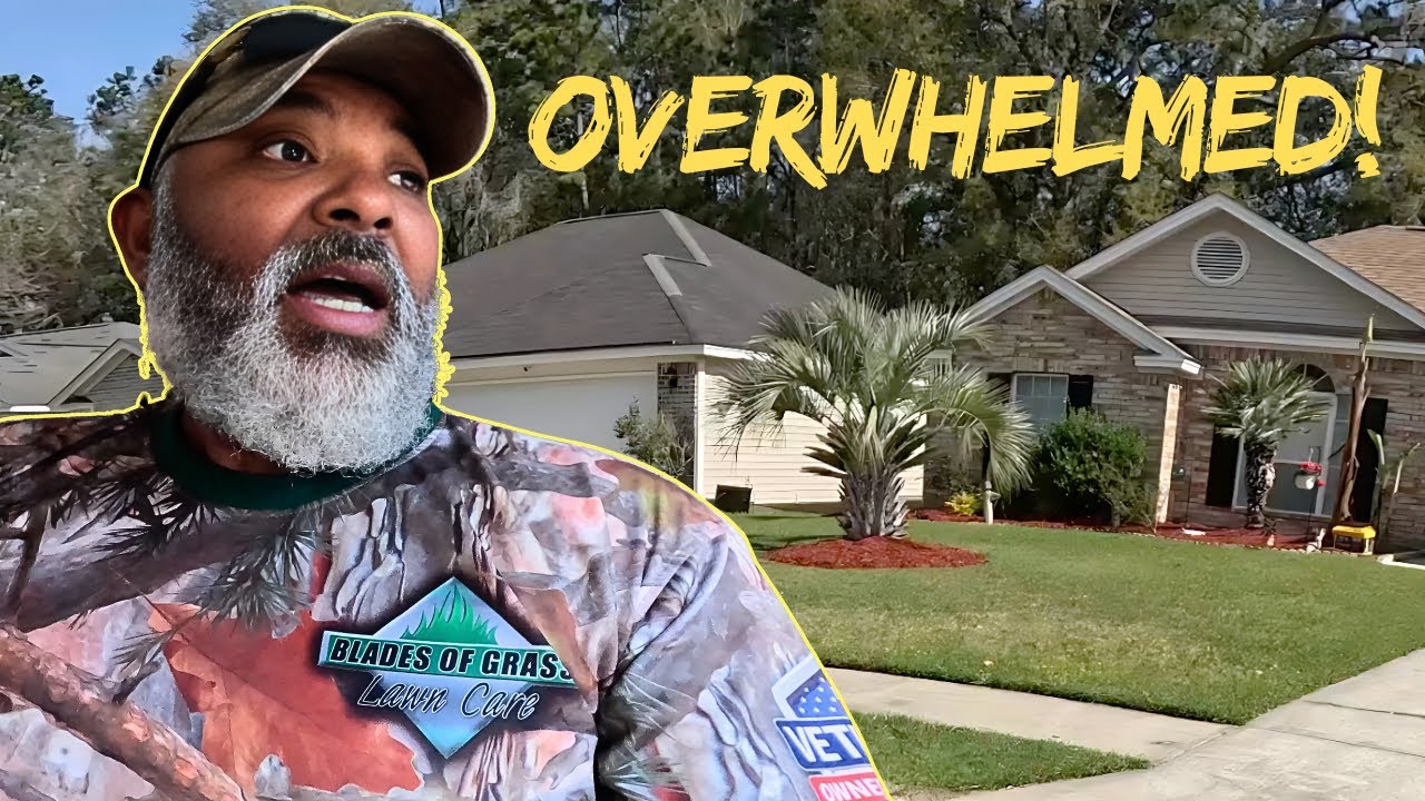 Mowing All These Lawns Was a Mistake. But Why?