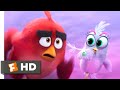 The Angry Birds Movie 2 (2019) - Great Balls of Ice Scene (8/10) | Movieclips