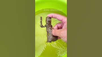 Best oddly satisfying, who is your favourite? 🤯 #Plush #Sprunki #Italianbrainrot #Annaanimation