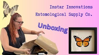 Bug Unboxing! 