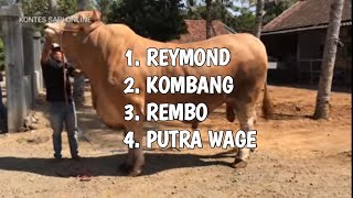 Reymond Sang Juara Kontes Sapi Online