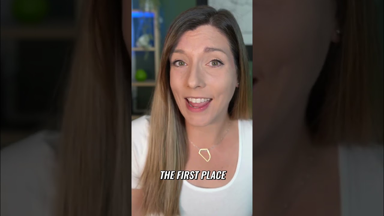 US vs Europe: Social Protections & Quality of Life 