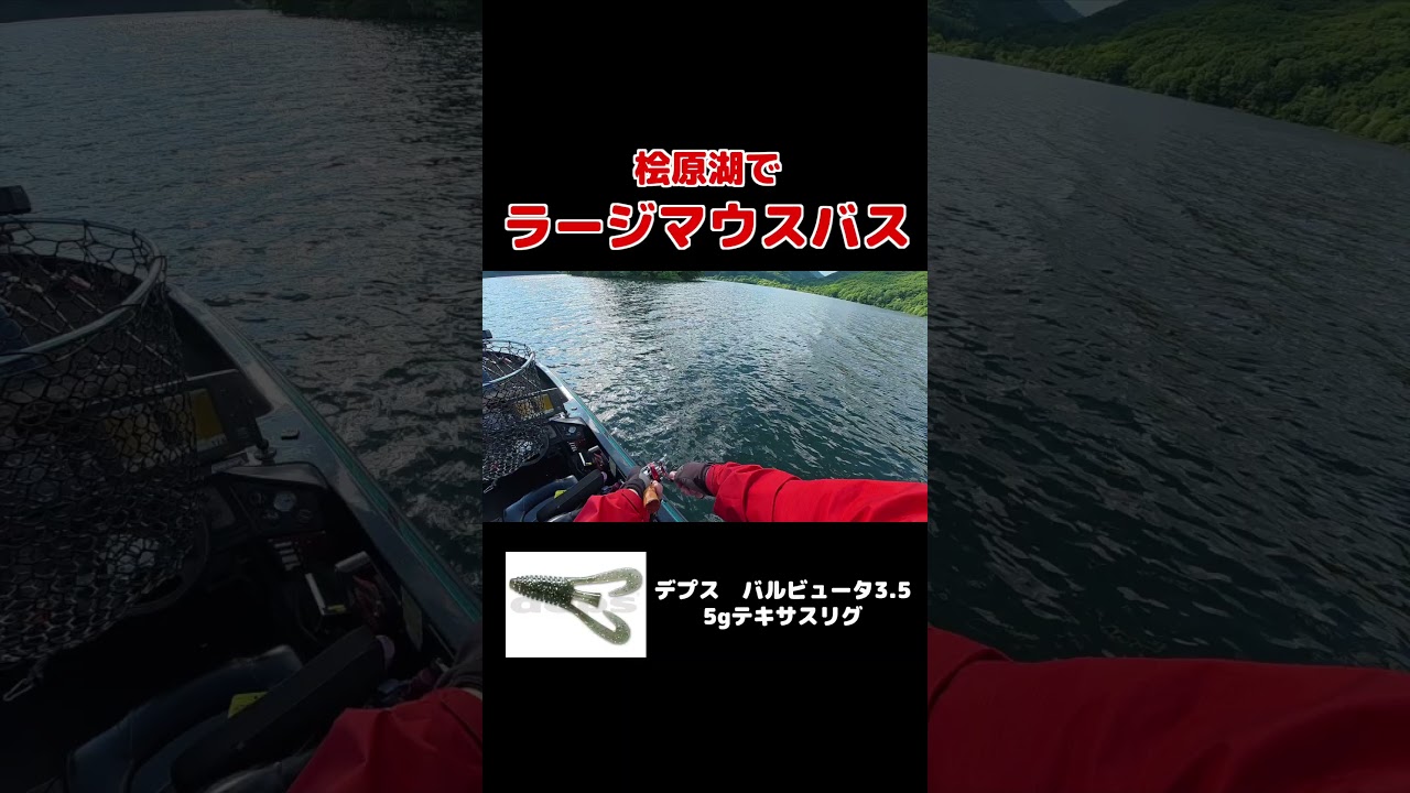桧原湖でラージしか釣れない男！