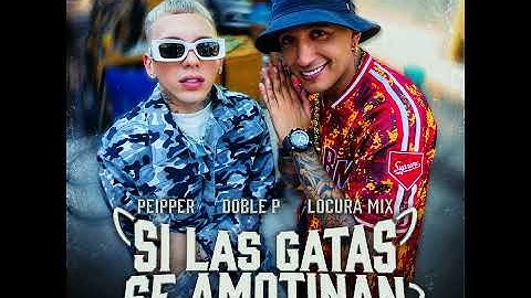 Si Las Gatas Se Amotinan