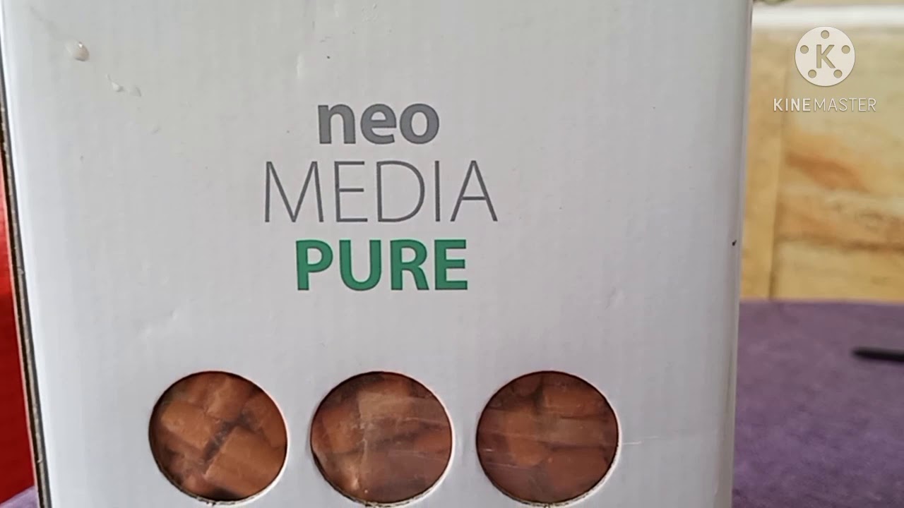 ganti media Filter (neo media pure) untuk ikan arwana