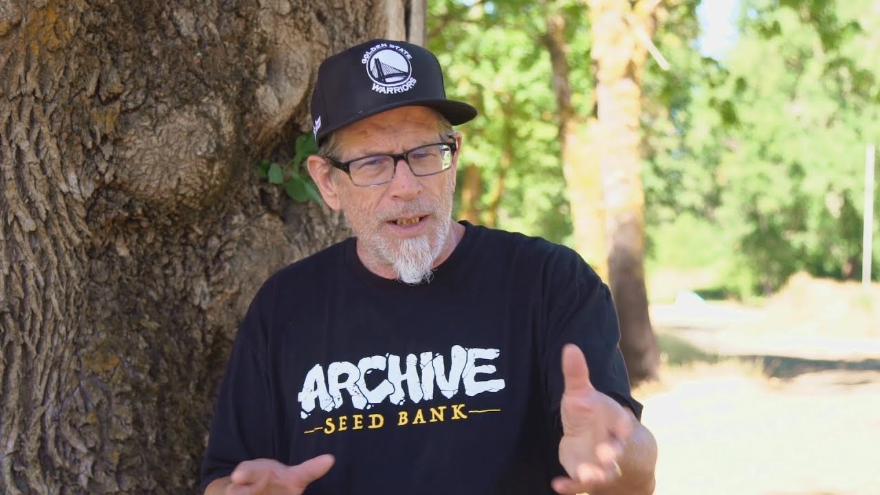 How Kendo Almost Killed Jack Herer