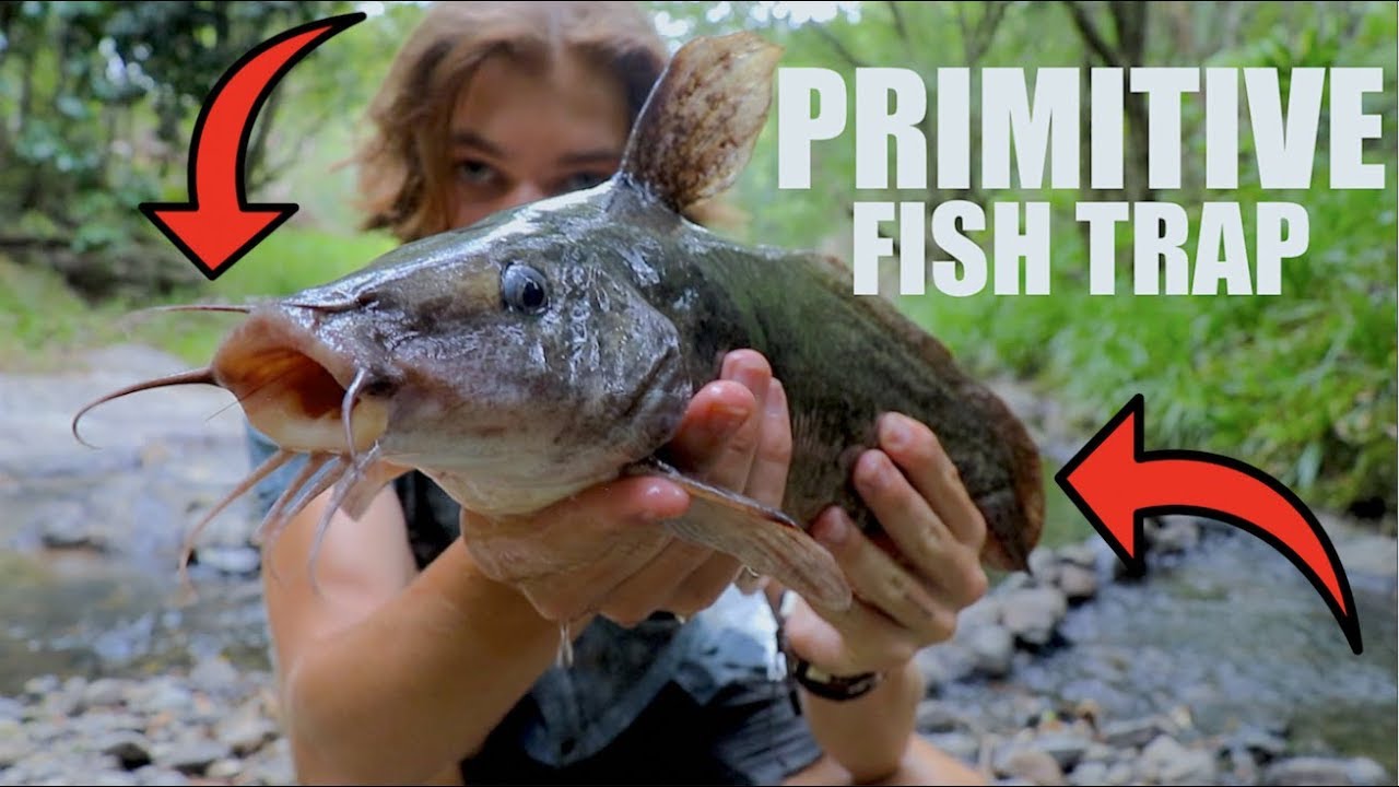 Primitive fish TRAP Survival/Hunting in the WILD! YouTube