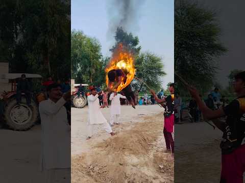 Is Bndy Ka Telant Check Kren Shortvideo Funny Comedy Fun Shorts