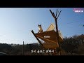 Cat Tower를 사볼까 하다가 만들어봤습니다