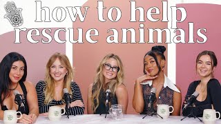 ASKING A VEGAN ANIMAL RESCUER: Why Adopt Don't Shop Rescue Dog Myths, Etc. ft. Deity Animal Rescue