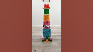 what is the dumbest thing you