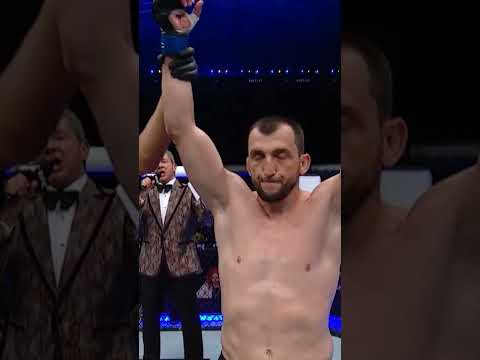 Muslim Salikhov Delivers A KO As Clean As They Come 