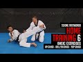 Sejong taekwondo  home training 6 apchagi dollyochagi yopchagi basic exercises