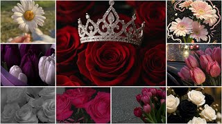 🌷Beautiful Flowers DP 🌸 | 🌼Cute Flower DP for WhatsApp & Instagram | Floral Profile Picture🌹  screenshot 3