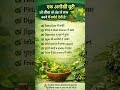 Makoy Ke Fayde &amp; Istemal | Kis Kaam Aata Hai? Liver, Skin &amp; Body Detox Herb Explained #makoy #shorts
