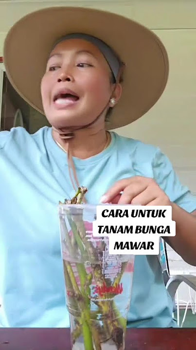 How to plant roses in 🇺🇸 #my #love #usa #indonesia #funny #freefire #fyp #foryou #fun #flowers