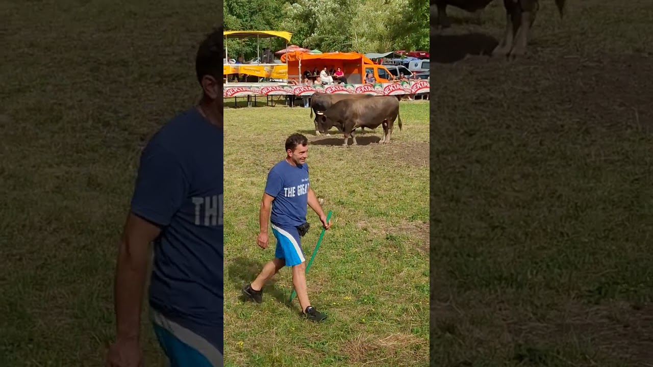 Mrkonja Ilija Grahovac  Kuso Veljko Tomic  Korida kod Dumana Liskovica