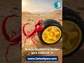 Rueda de plástico D65mm para motor DC TT #2mtechperu #huanuco #arduino