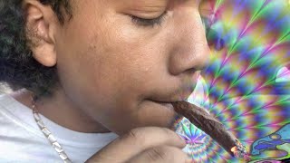 Can I Still Roll Backwoods?