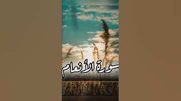 ولو ترى إذ وقفوا على ربهم .. ما تيسر من #سورة_الأنعام