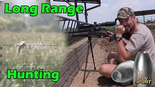 Famous Daystate Red Wolf Safari Long Range slug Hunting | Airgun Pest Control Wealth