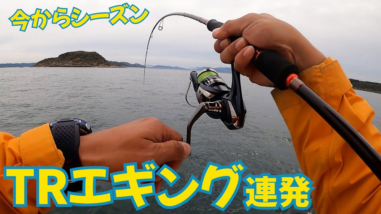 アオリイカ入れ食い！秋イカTRエギングで連発！ - YouTube