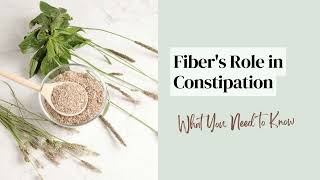 Fibers Role In Constipation What You Need To Know 2023