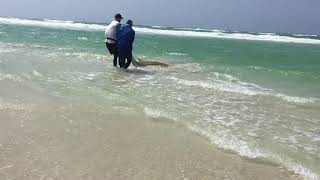 Struisbaai Plaat 27Oct2018