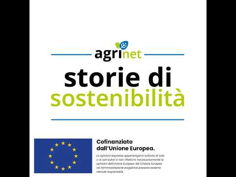 Video AGRINET4TECH | Storie di sostenibilità METAPONTINO: DOVE SI PROGETTANO LE FRAGOLE DEL FUTURO