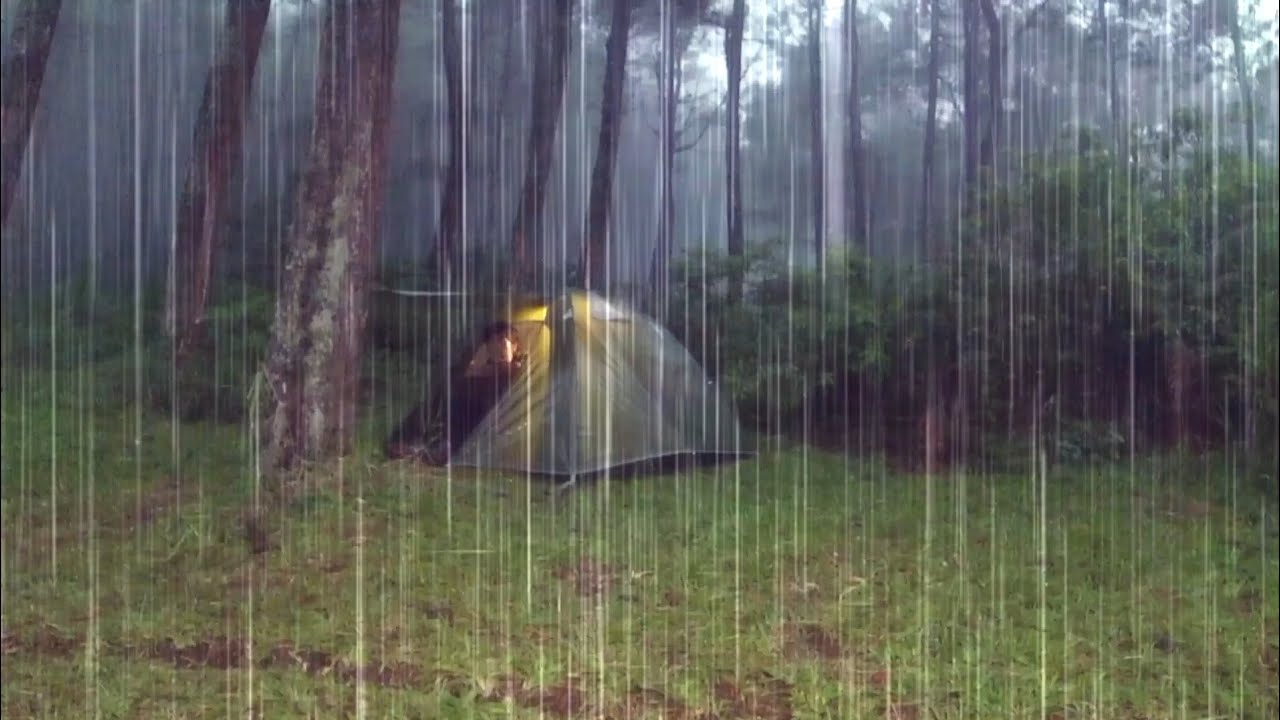 RELAXING SOLO CAMPING IN HEAVY RAIN - RELAXING CAMPING IN THE RAIN ...