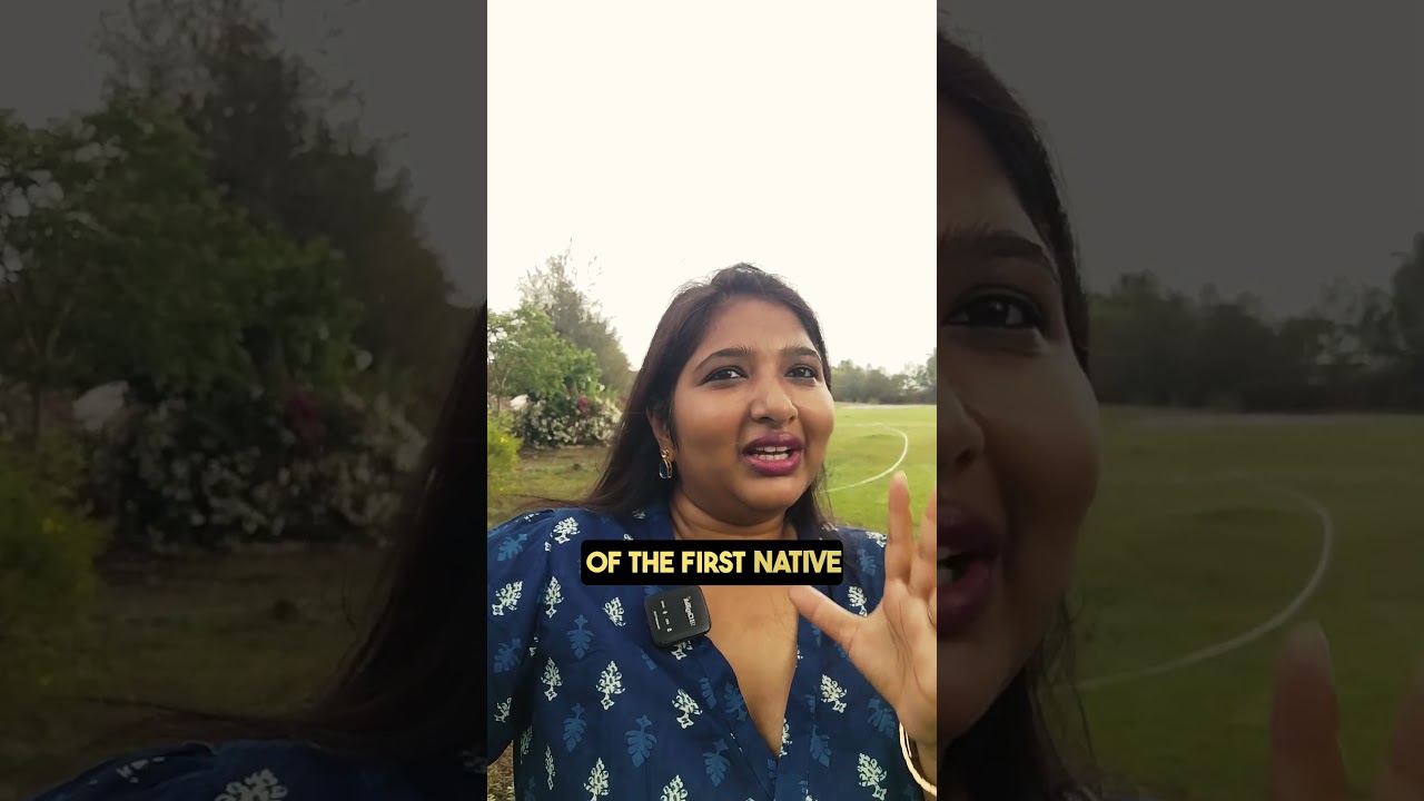 he Lion Seal of Sovereignty— A symbol of Mayurasharma’s defiance! 