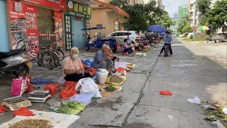 逛四邑恩平Enping市區恩華農貿市場、在周邊的街市地攤檔購物隨拍