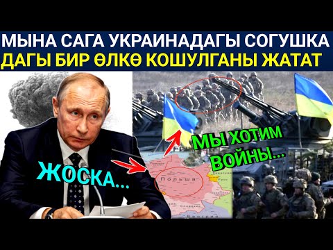 Video: Скрипкалар согушка каршыбы?