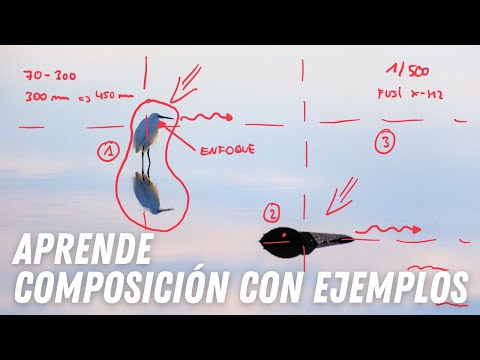 Mejora tu Composición