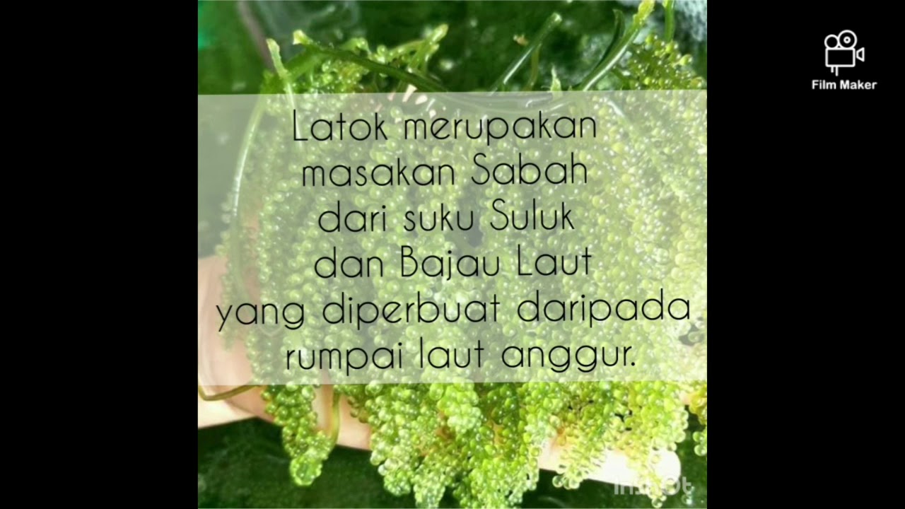 Khasiat latok 