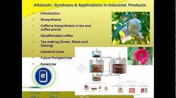 Alkaloids  Introduction