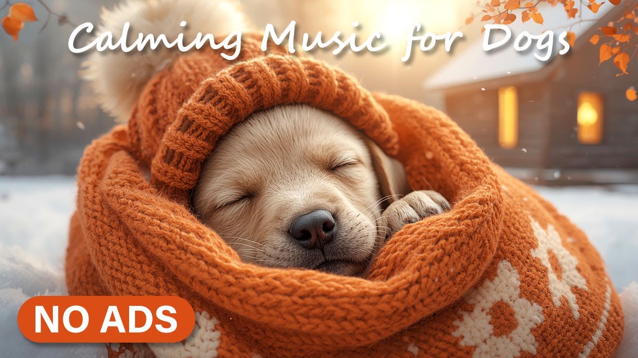 Dog Calming Music (No Ads) 🐾 12 Hours Relaxing Piano for Sleep _vol.11