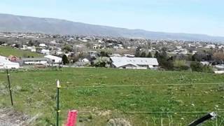 Homes for Sale - 2745 27th St Clarkston WA 99403 - Ronda Laybourn