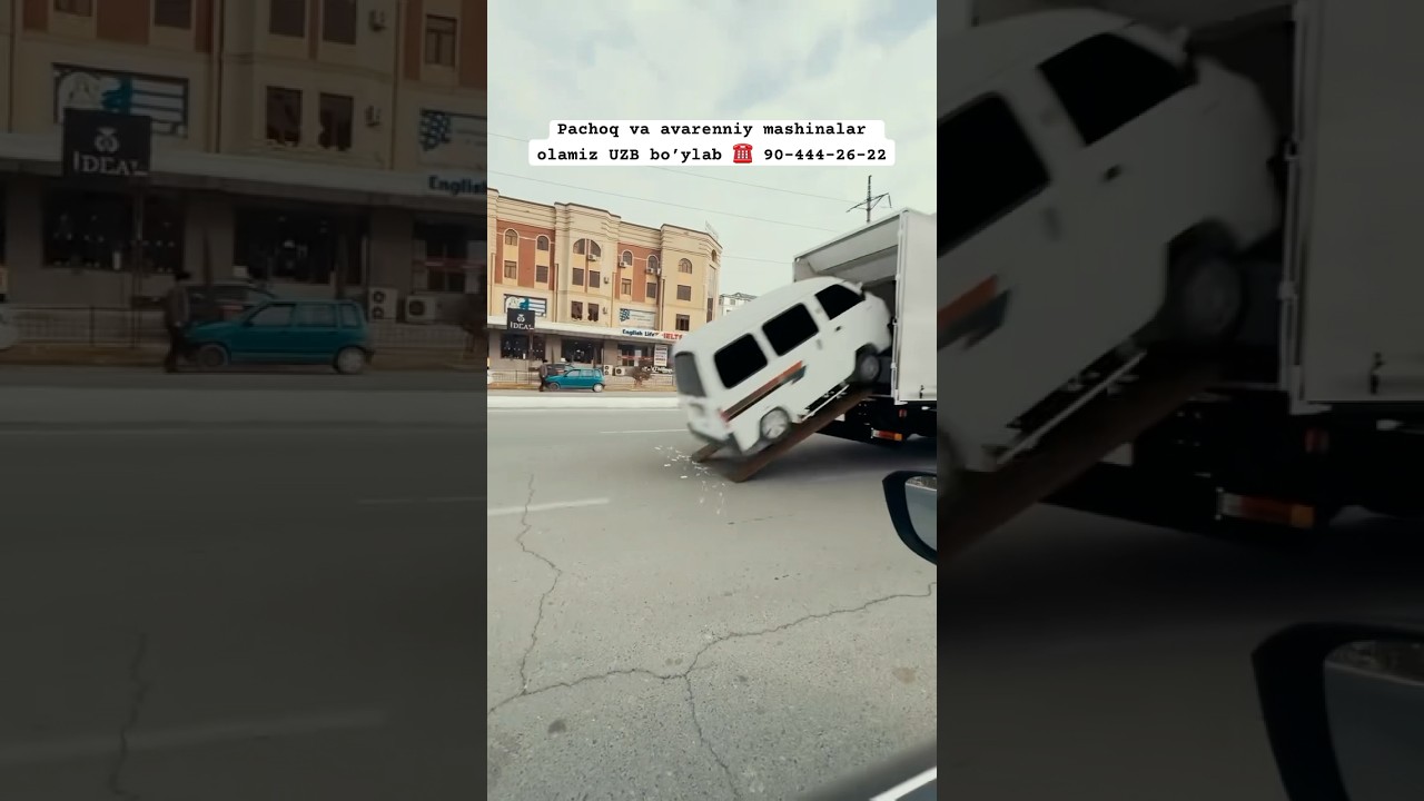 Damad legenda ☎️ 90-444-26-22