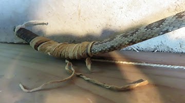 Sinew backed Juniper bow