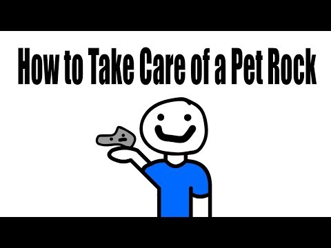 Como cuidar de um Pet Rock